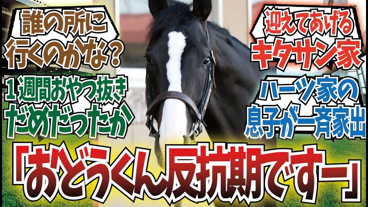 「ドウデュースが家出しました」に対するみんなの反応集