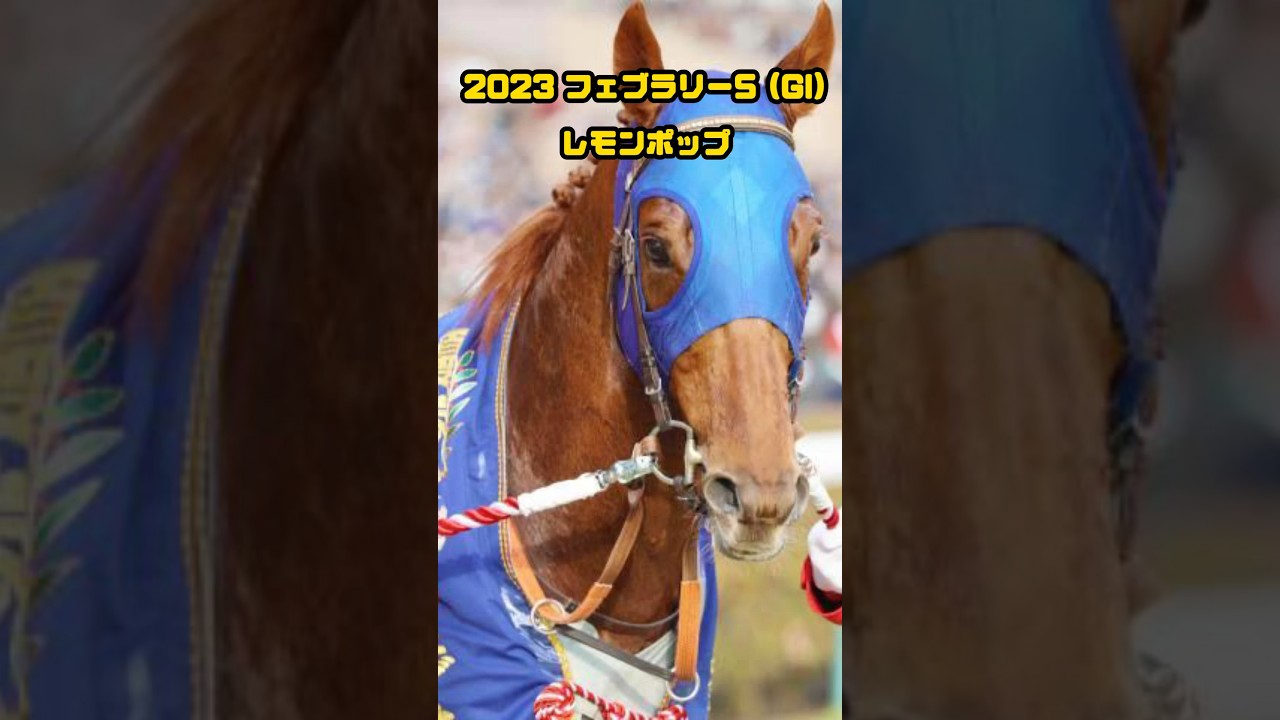 『2023フェブラリーSレモンポップ』#競馬 #レモンポップ #フェブラリーs #フェブラリーステークス #フェブラリーステークス2023 #g1  #サラブレッド #punk