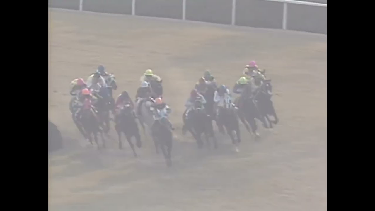 ダイイチルビー 1991年 第8回マイルチャンピオンシップ(GI) (優勝馬：ダイタクヘリオス) (実況：ラジオたんぱ)