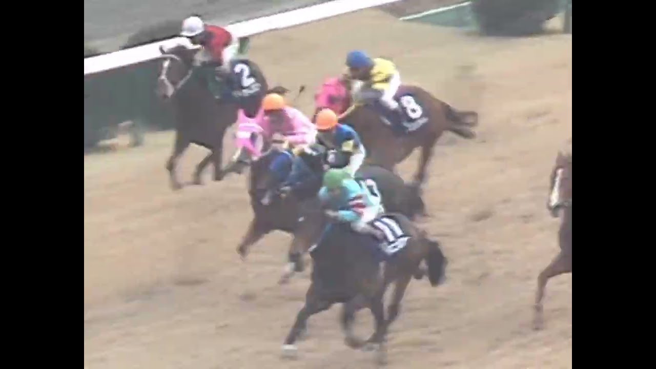 ダイイチルビー 1991年  第25回スプリンターズステークス(GI) (優勝馬：ダイイチルビー) (実況：ラジオたんぱ)