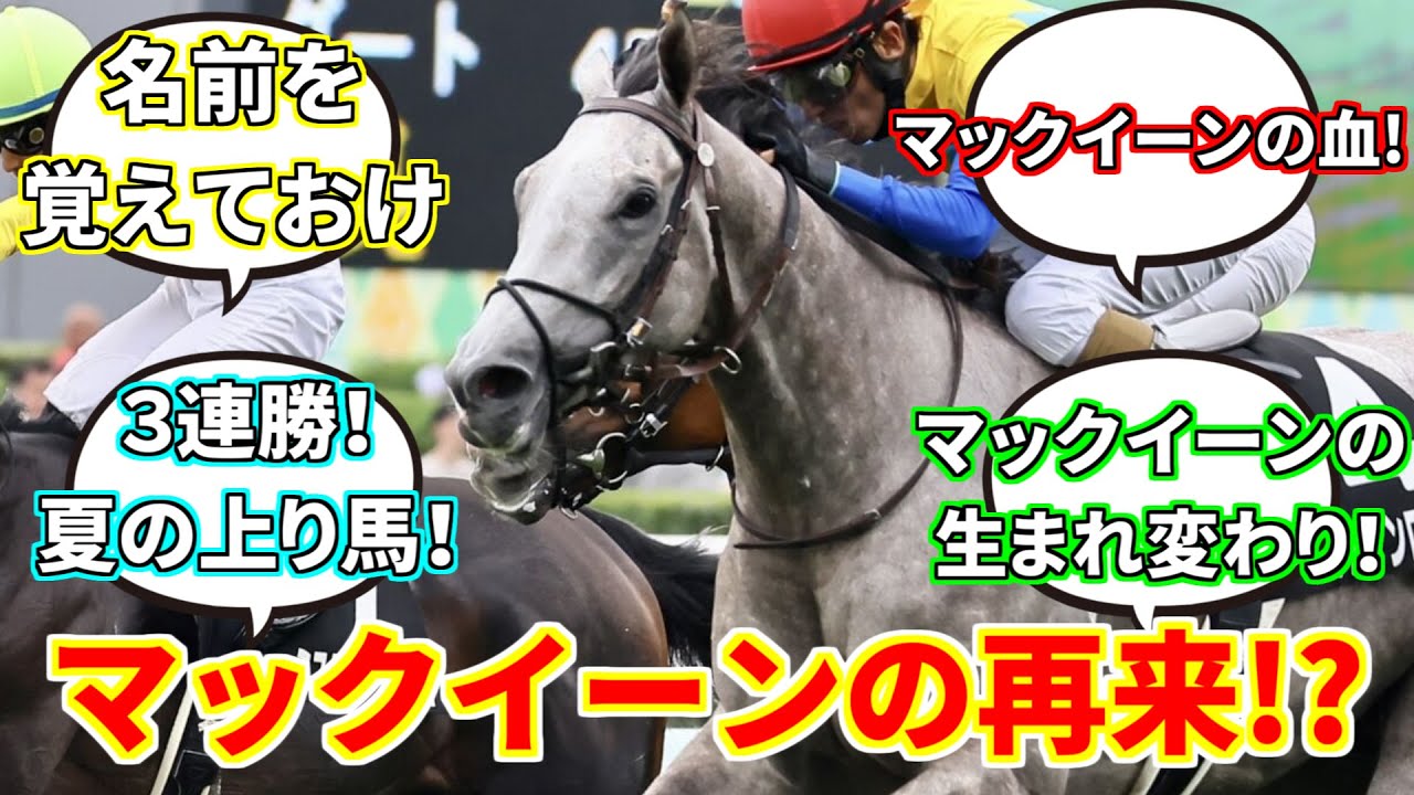 『今年の菊花賞はナイトインロンドンが取ります』に対してのみんなの反応集【競馬の反応集】