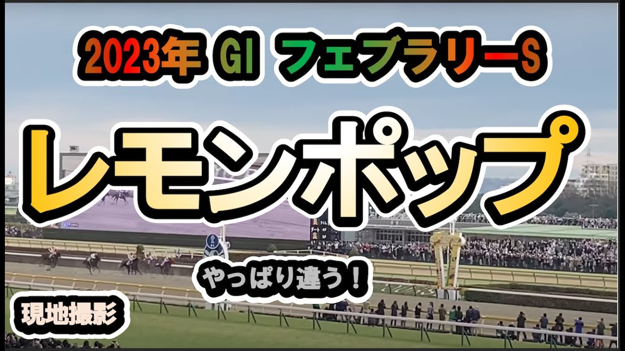 【現地】2023/02/19 G1 フェブラリーステークス レモンポップ 坂井瑠星【東京競馬場】