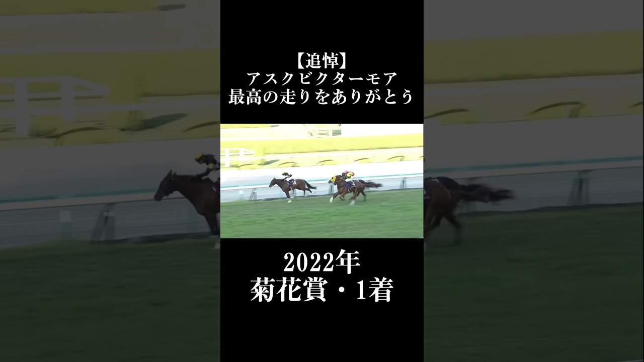 【追悼】アスクビクターモア／最高の走りをありがとう【2022年菊花賞1着】
