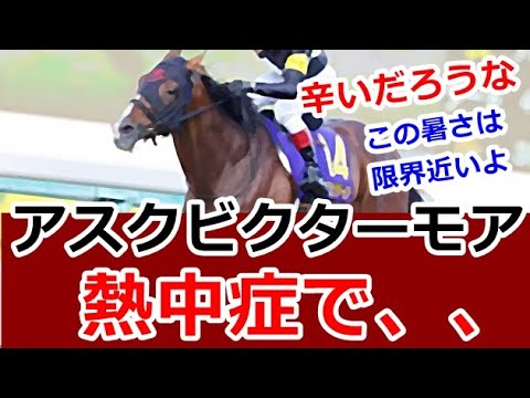 【驚愕】菊花賞馬。アスクビクターモアが熱中症で急死の真相は、、、