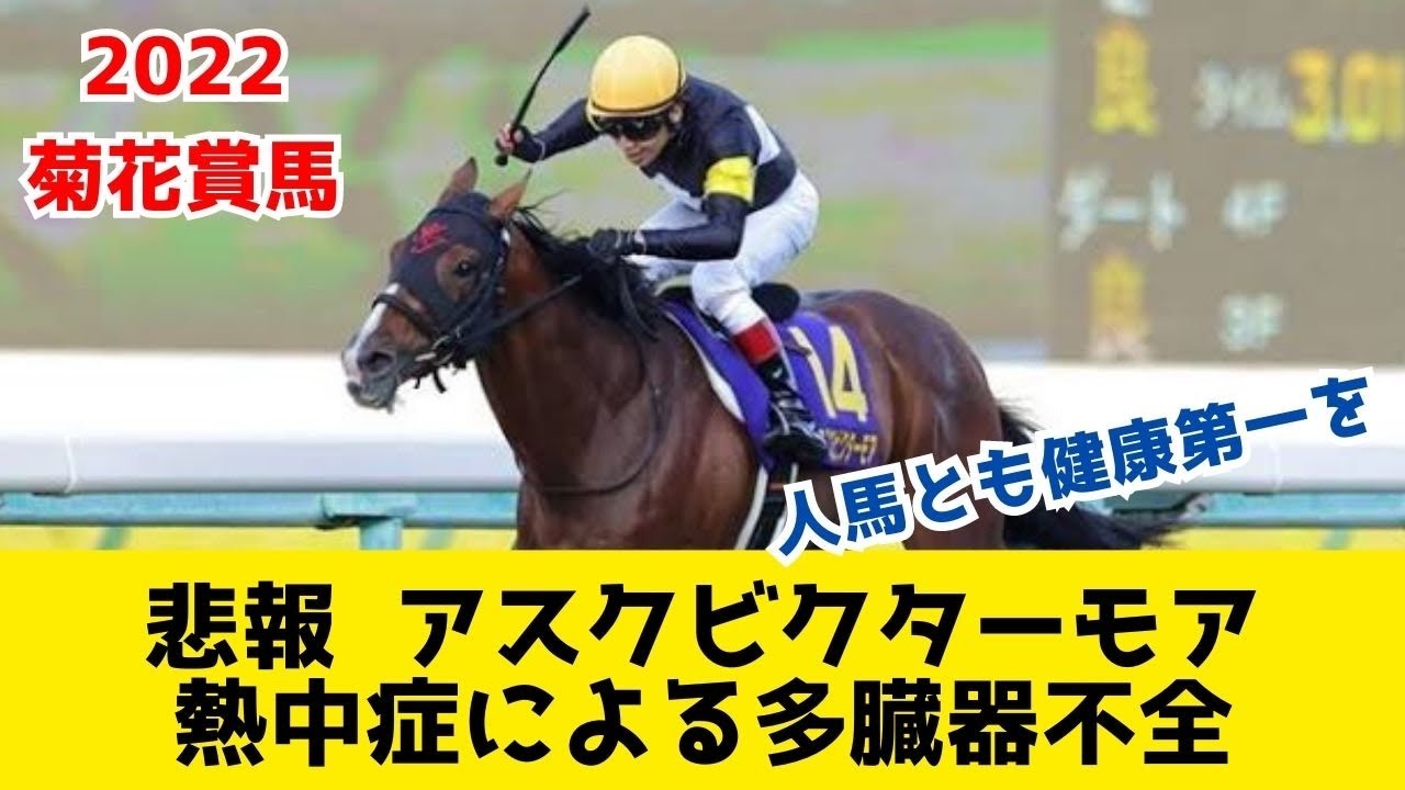 【悲報】アスクビクターモア（2022年菊花賞馬）、熱中症による多臓器不全により亡くなる。人馬健康第一を願う！