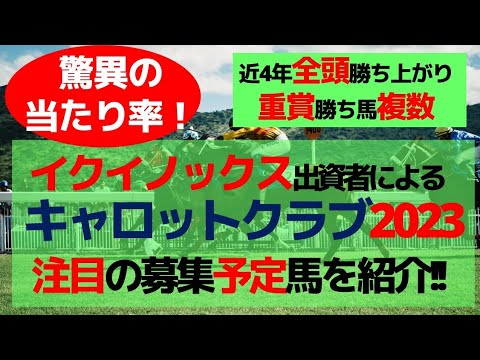 【一口馬主】イクイノックス出資者によるキャロットクラブ2023注目の募集予定馬を紹介!!