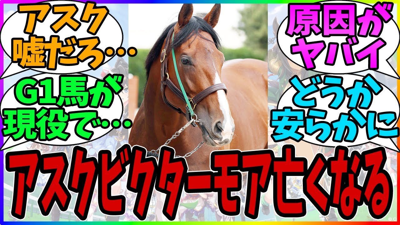 訃報『昨年の菊花賞馬、アスクビクターモア亡くなる。』【競馬まとめ】