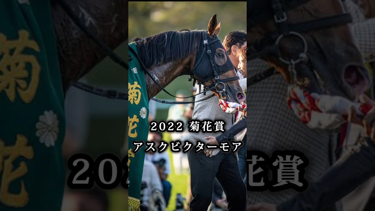 『2022菊花賞アスクビクターモア』 #競馬 #アスクビクターモア #菊花賞 #菊花賞2022 #rip #サラブレッド #g1 #日本競馬 #名馬 #名勝負  #linkinpark