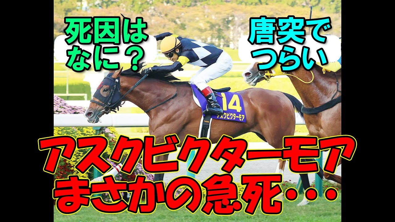 【訃報】『菊花賞馬アスクビクターモア、急死』に対するみんなの反応【競馬】【競馬反応】