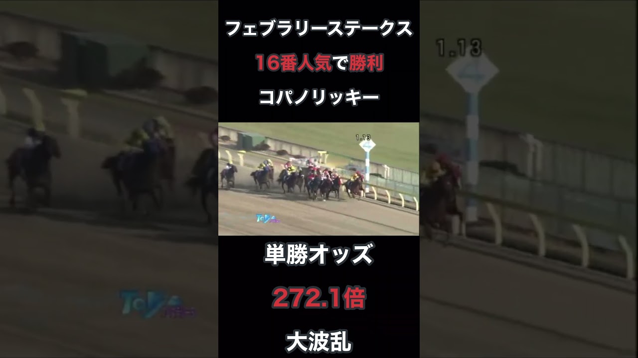 フェブラリーステークス 16番人気で勝利 コパノリッキー