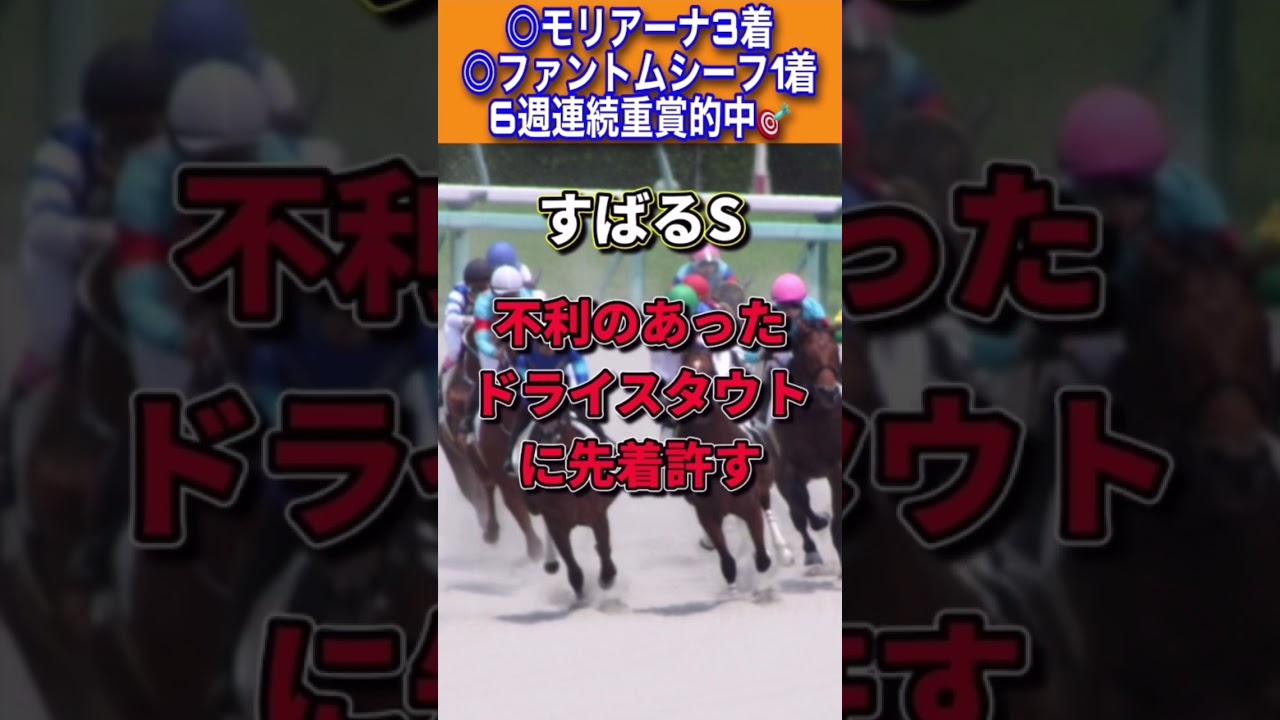 【フェブラリーステークス2023】30秒でわかるセキフウ
