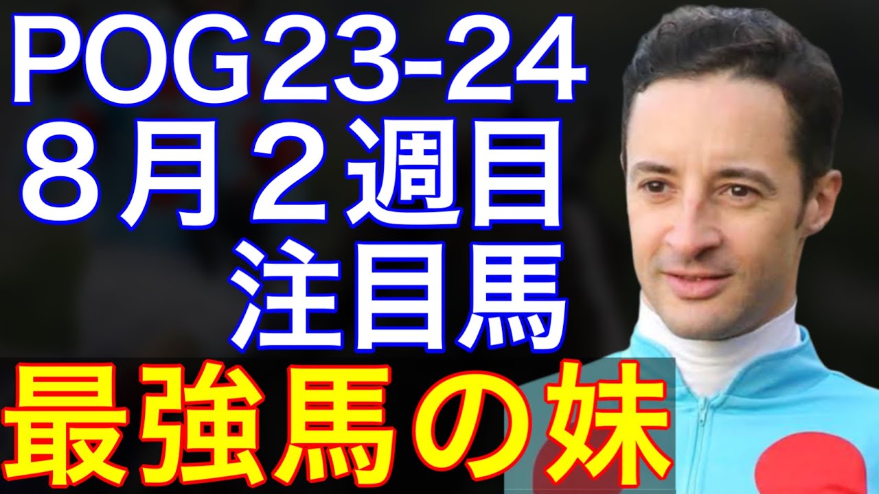 【POG/23-24】８月２週目デビューの注目新馬を紹介【最強馬イクイノックスの妹など３場開催で大量デビュー】