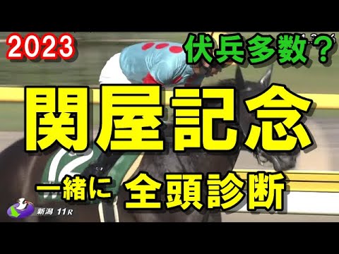 【関屋記念2023】　いまむらの全頭診断　気になる馬たち