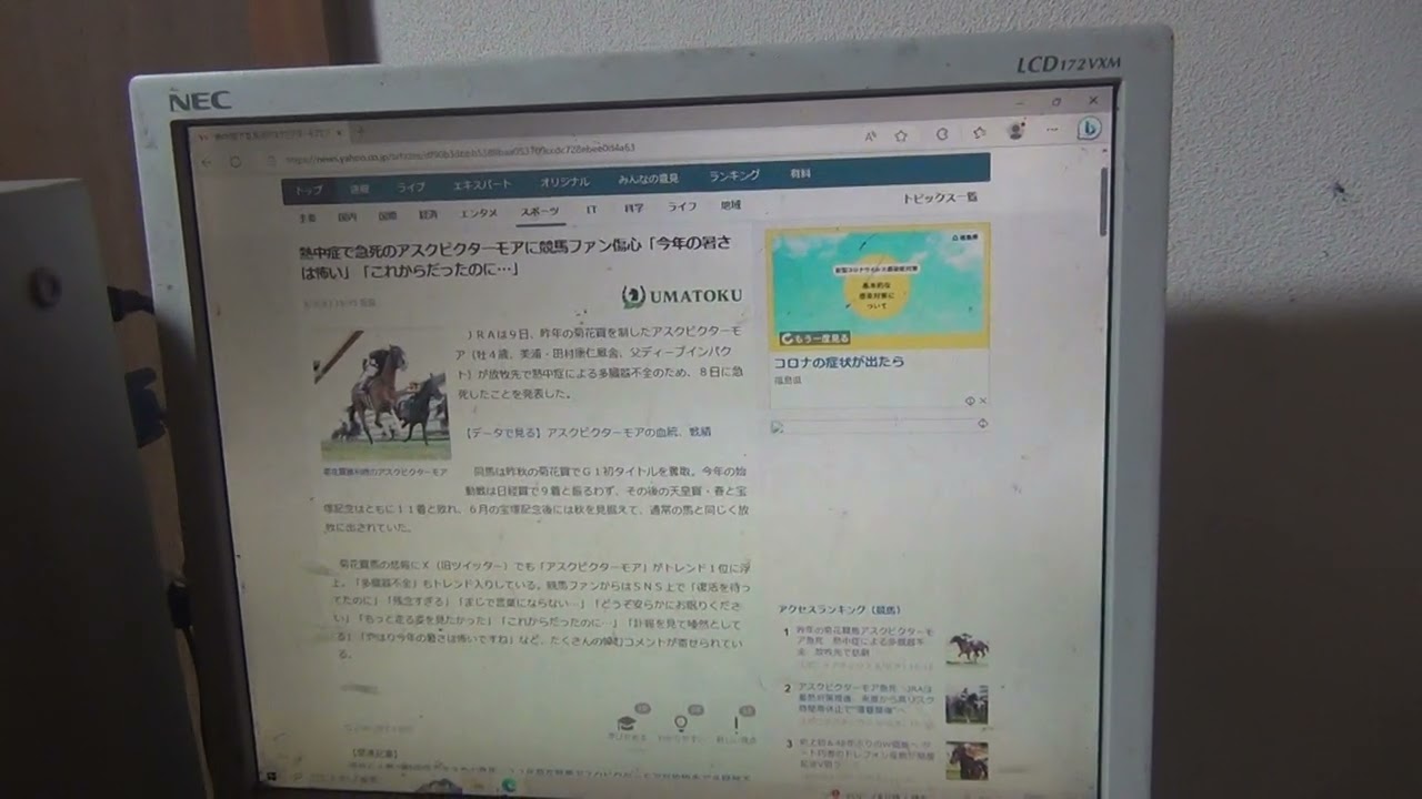 速報 競馬でクラシックレースのG1菊花賞を制したアスクビクターモアが熱中症で急死 実は競走馬も含めて動物や人間なども暑さに弱いんです 相馬野馬追でも馬2頭が熱中症で死亡してる 水分と塩分はこまめに補給