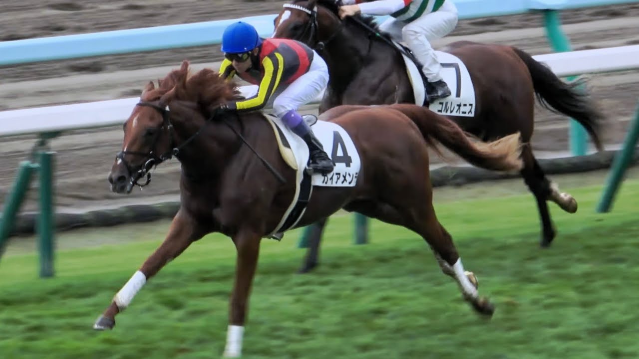 【武豊】エルムS・day 第5R 新馬戦 ガイアメンテを危なげなく勝利へ 現地映像