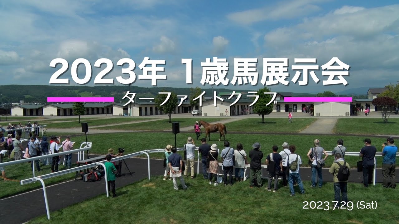 ターファイトクラブ1歳馬展示会風景＜2023年7月29日開催＞