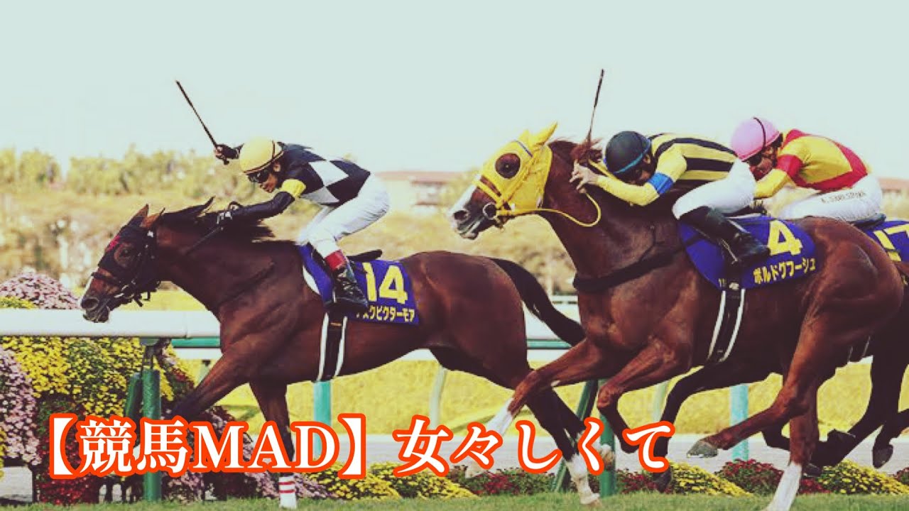 【競馬MAD】女々しくて