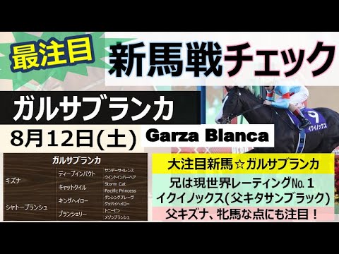【新馬戦注目馬】8月12日(土)イクイノックス妹デビュー戦！「ガルサブランカ」父キズナの牝馬と条件異なるも、兄同様圧勝劇に期待したい！他、サンディブロンドにも期待