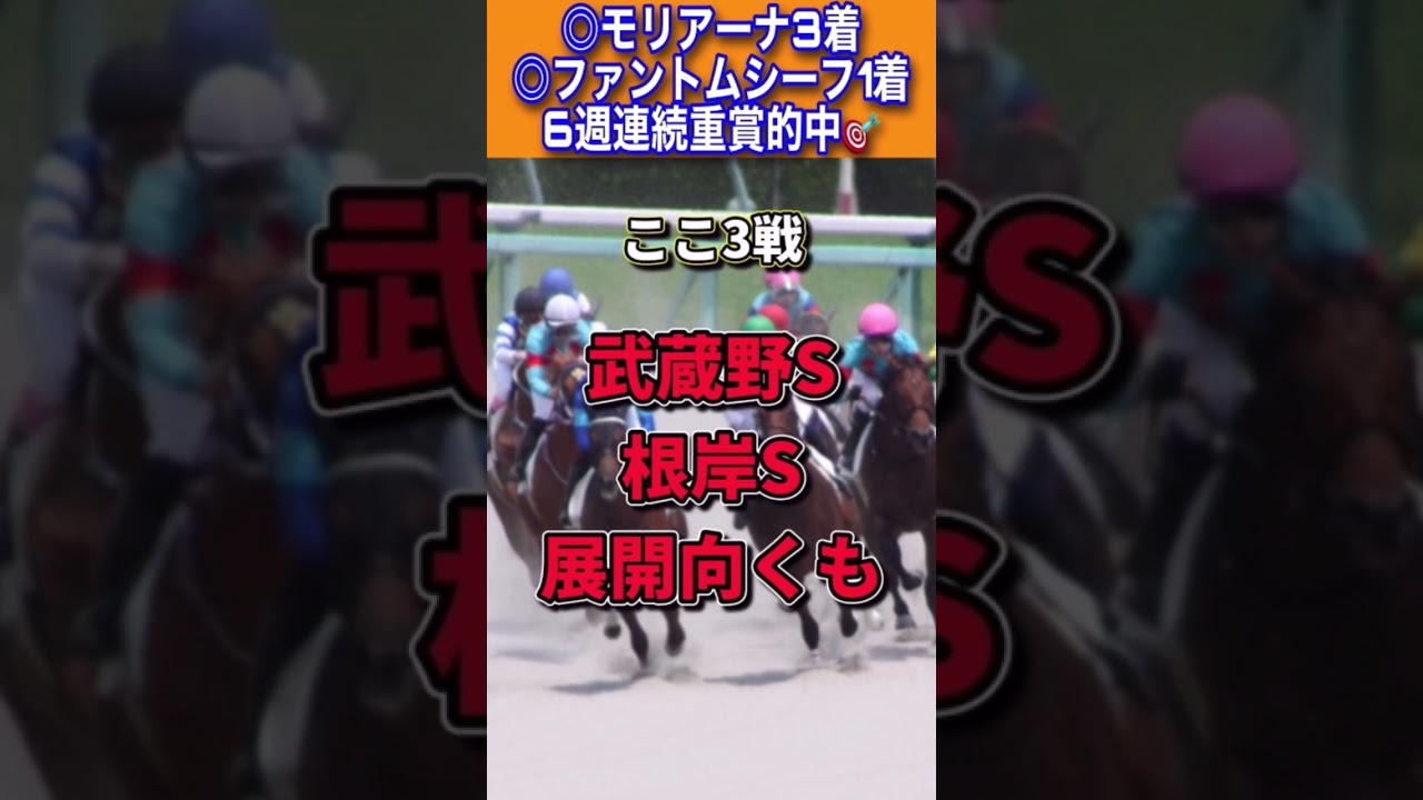 【フェブラリーステークス2023】30秒でわかるアドマイヤルプス