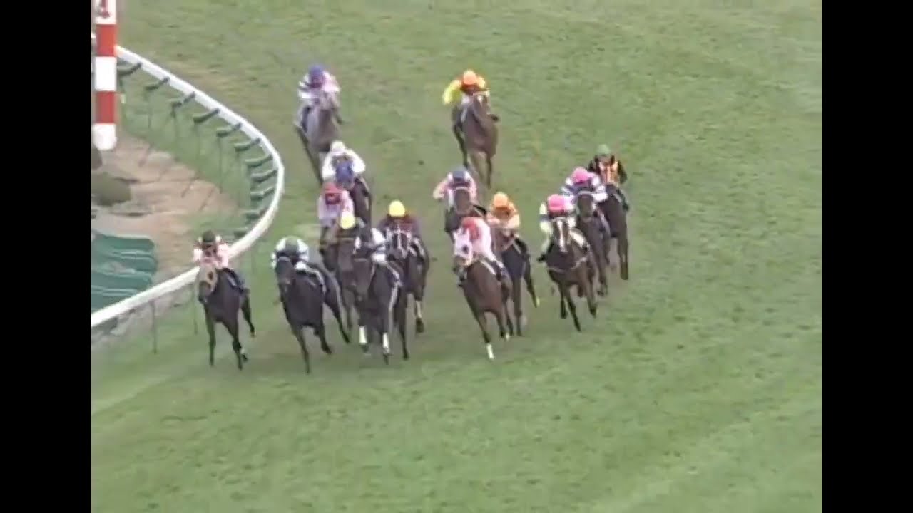 ヒシアマゾン 1993年 第45回阪神3歳牝馬ステークス(GI) (優勝馬：ヒシアマゾン) (実況：ラジオたんぱ)