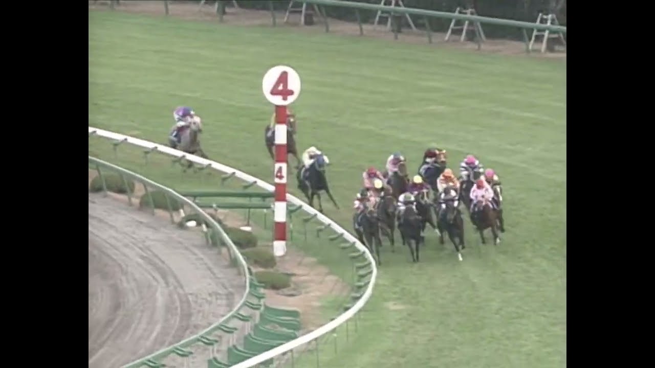 ヒシアマゾン 1993年 第45回阪神3歳牝馬ステークス(GI) (優勝馬：ヒシアマゾン)