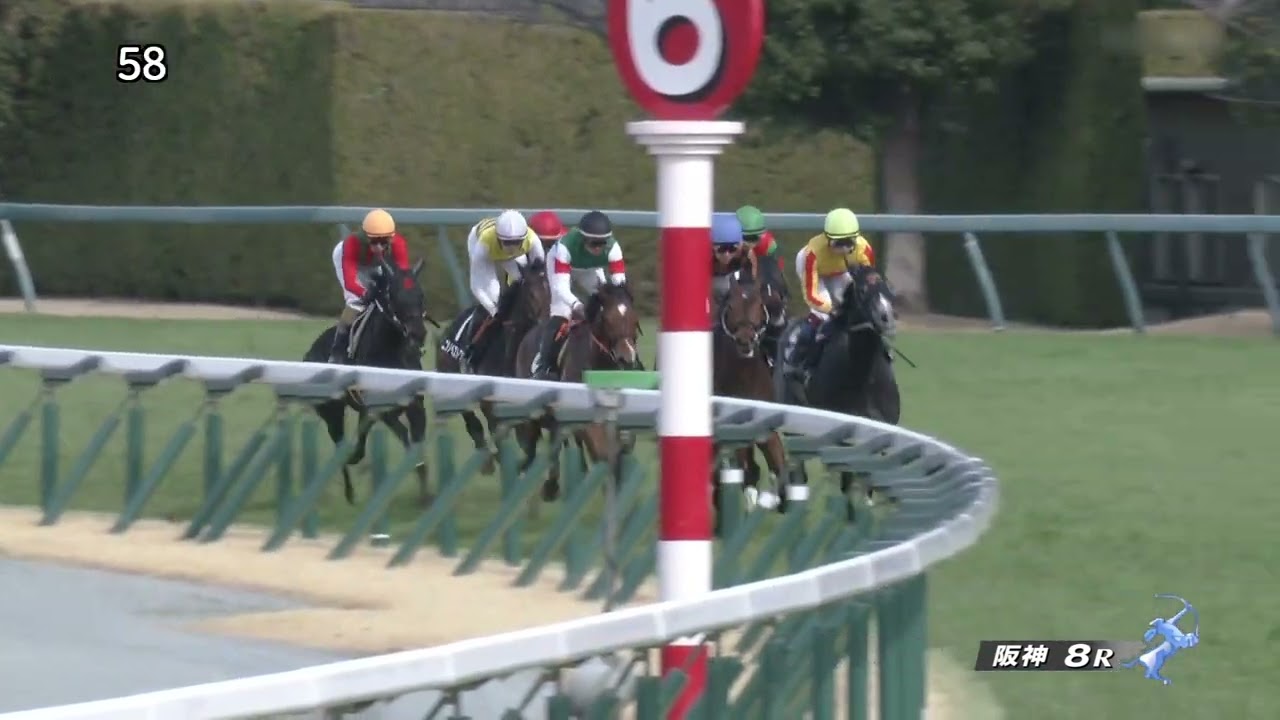 2023 02 12 阪神8R こぶし賞 モズメイメイ(武豊)