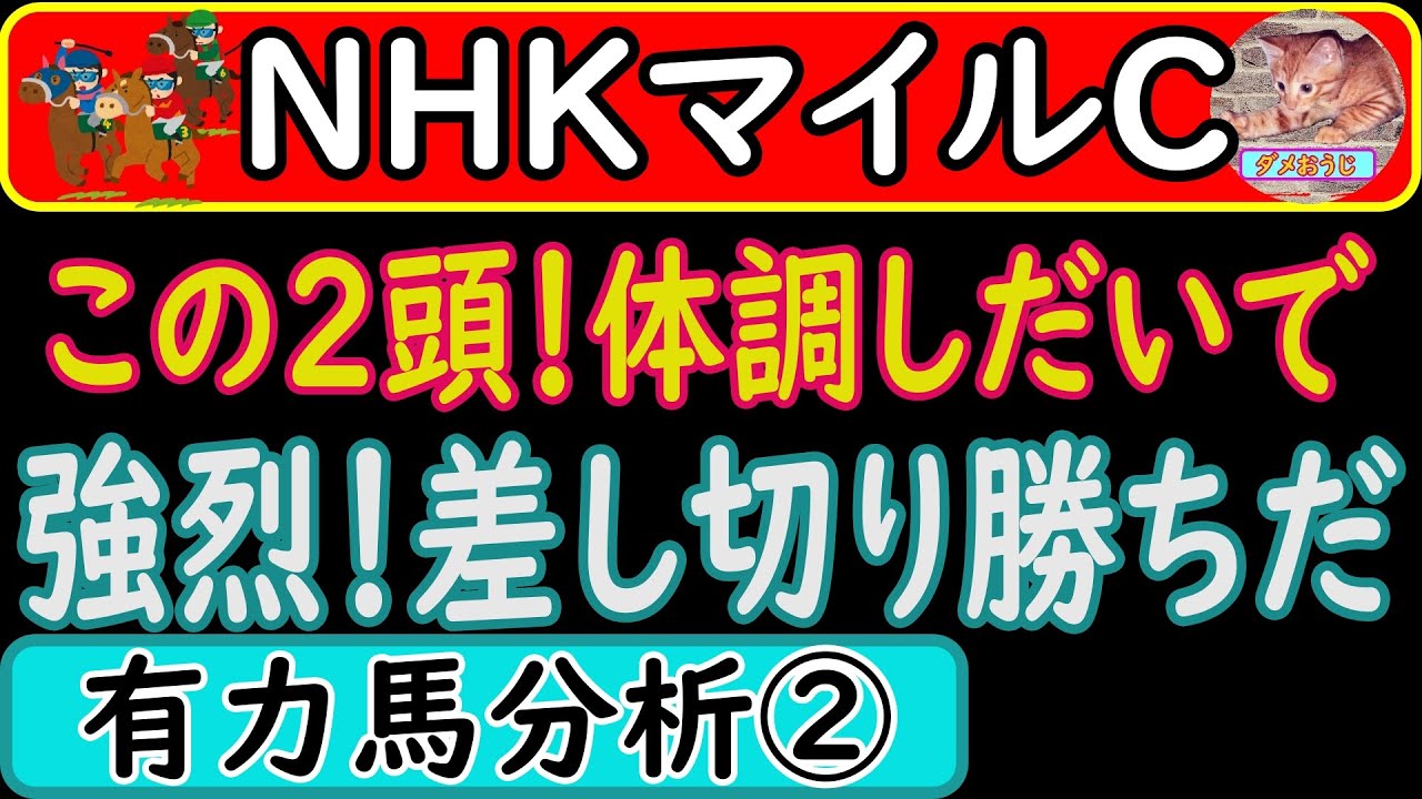 NHKマイルカップ2023年に出走予定の人気馬分析のパート②です！クルゼイロドスル・ダノンタッチダウン・オオバンブルマイ