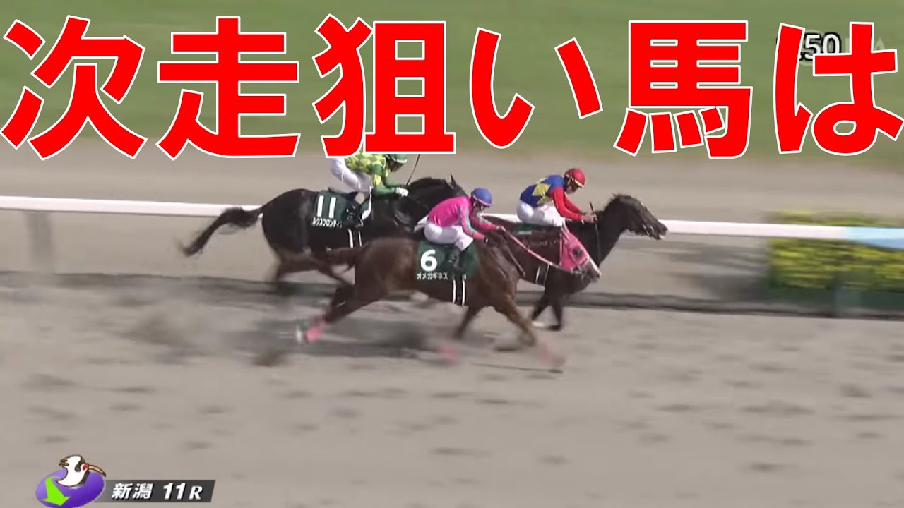 レパードステークス 回顧  2023　次走も狙いたい要注意の馬は？