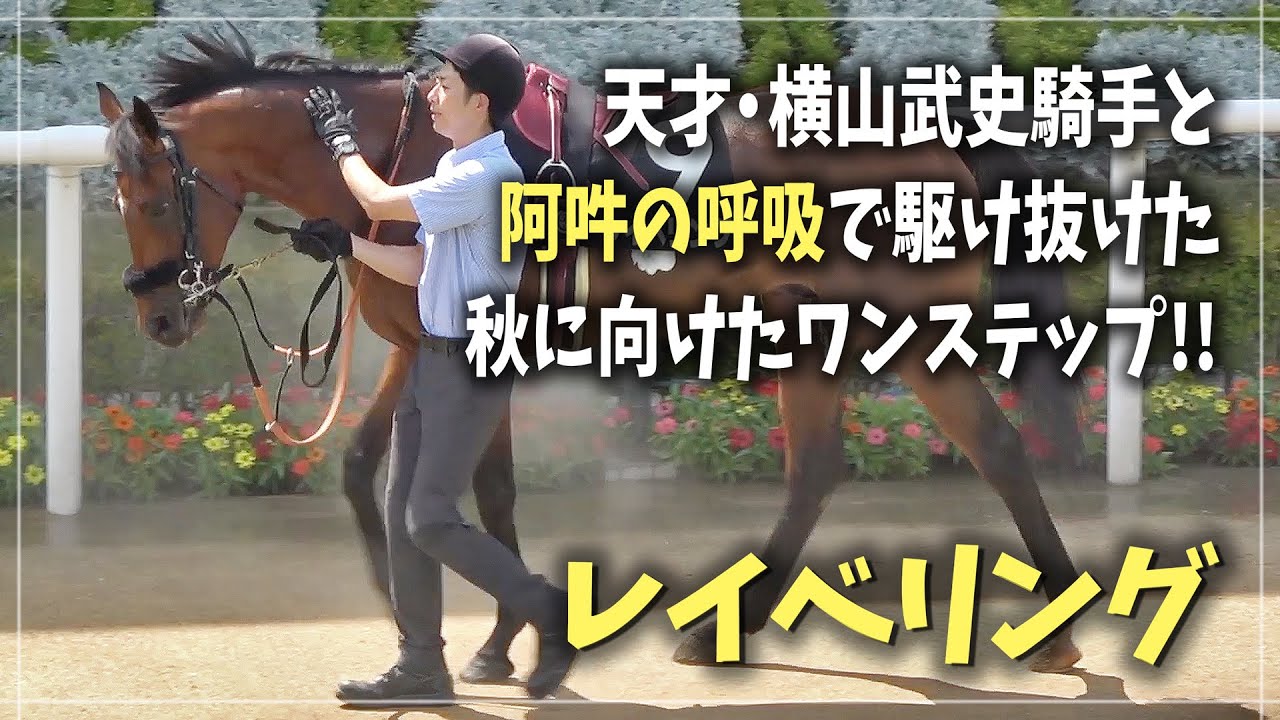 【レイベリング / Frankel産駒】G1朝日杯フューチュリティステークス3着馬が夏競馬で始動（北辰特別2023.7.22）