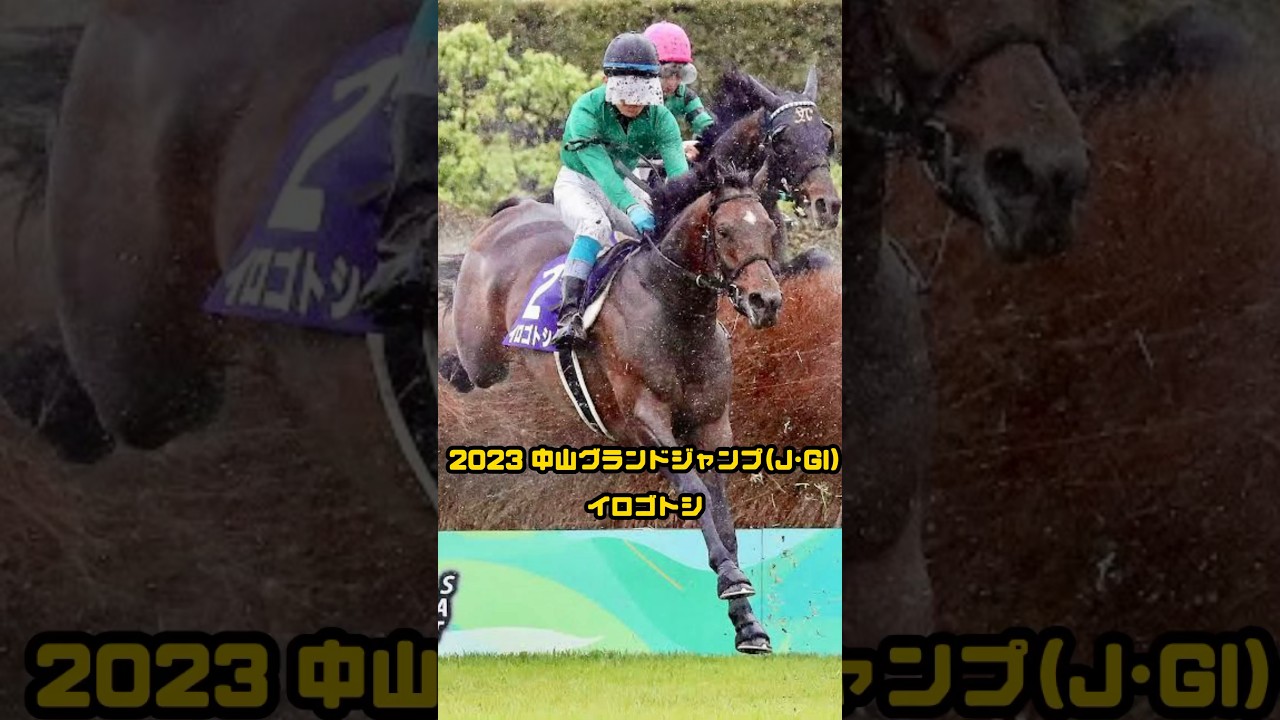 『2023中山GJイロゴトシ』#競馬 #g1 #中山グランドジャンプ #中山GJ #名馬 #サラブレッド #イロゴトシ #障害レース #punk #punkrock
