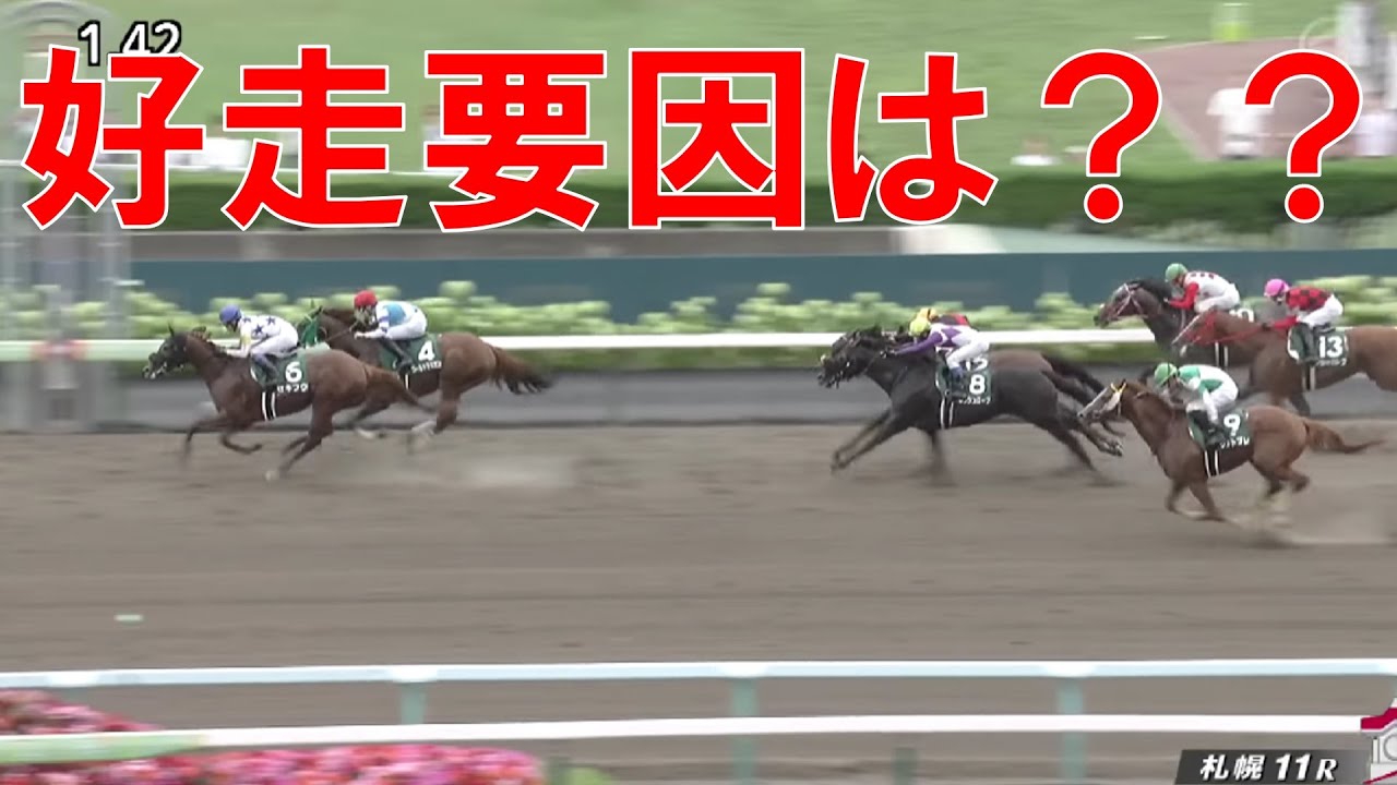 エルムステークス 回顧  2023　好走要因と次走も狙いたい要注意の馬は？