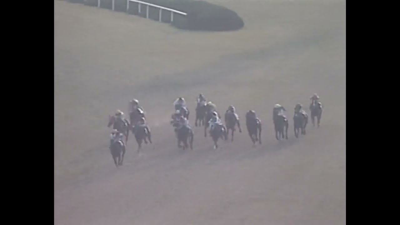 ダイイチルビー 1991年 第8回マイルチャンピオンシップ(GI) (優勝馬：ダイタクヘリオス)