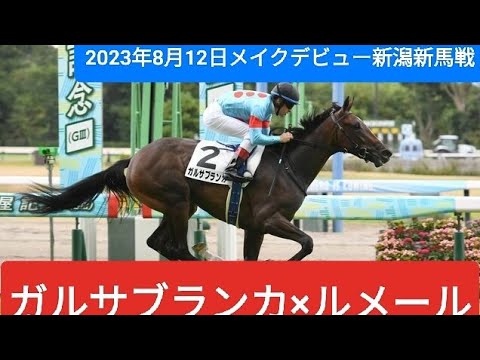 【牝馬クラシックの主役⁉️】ガルサブランカ メイクデビュー新潟 新馬戦 完勝 #ガルサブランカ #シルクホースクラブ #競馬 #新馬戦 #メイクデビュー #ルメール #キズナ産駒 #イクイノックスの妹