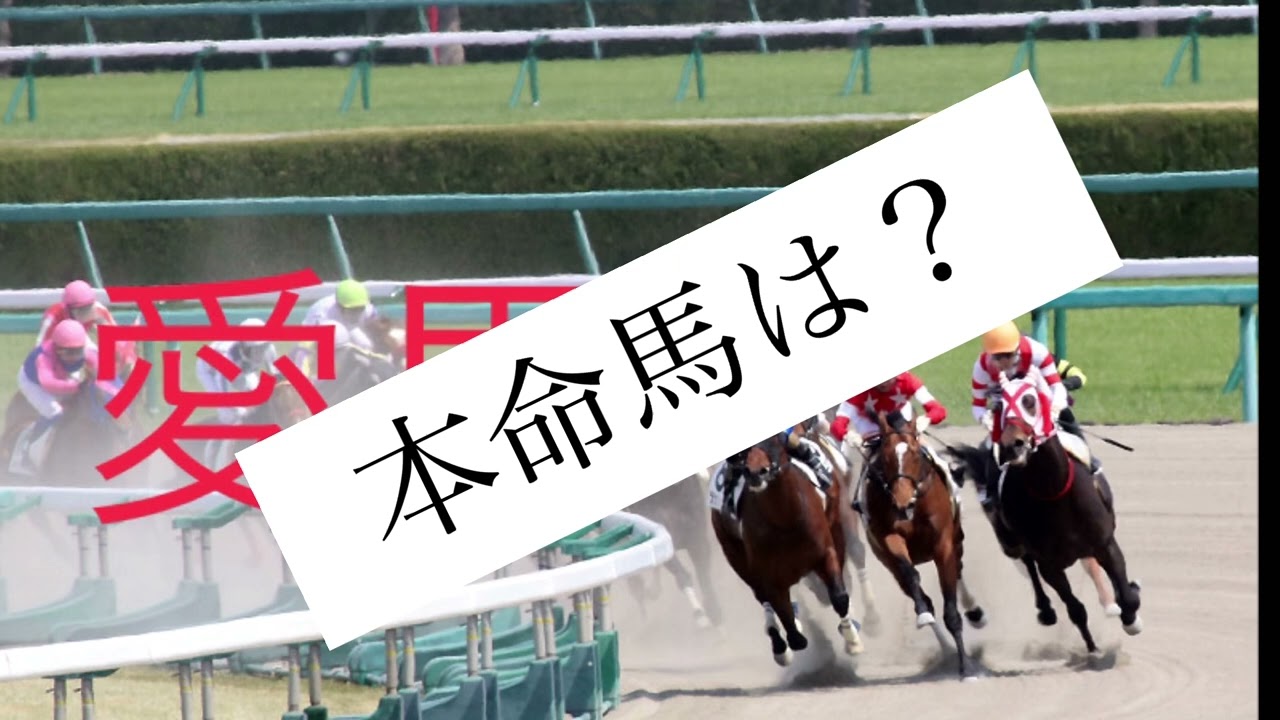 8/15  地方競馬交流重賞クラスターカップ予想