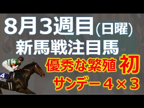 【注目新馬】8月3週目20日(日)デビューの注目馬！「優秀な繁殖牝馬に初サンデー４×３」優秀繁殖＋サンデー４×３ VS 非サンデーの超高額馬☆