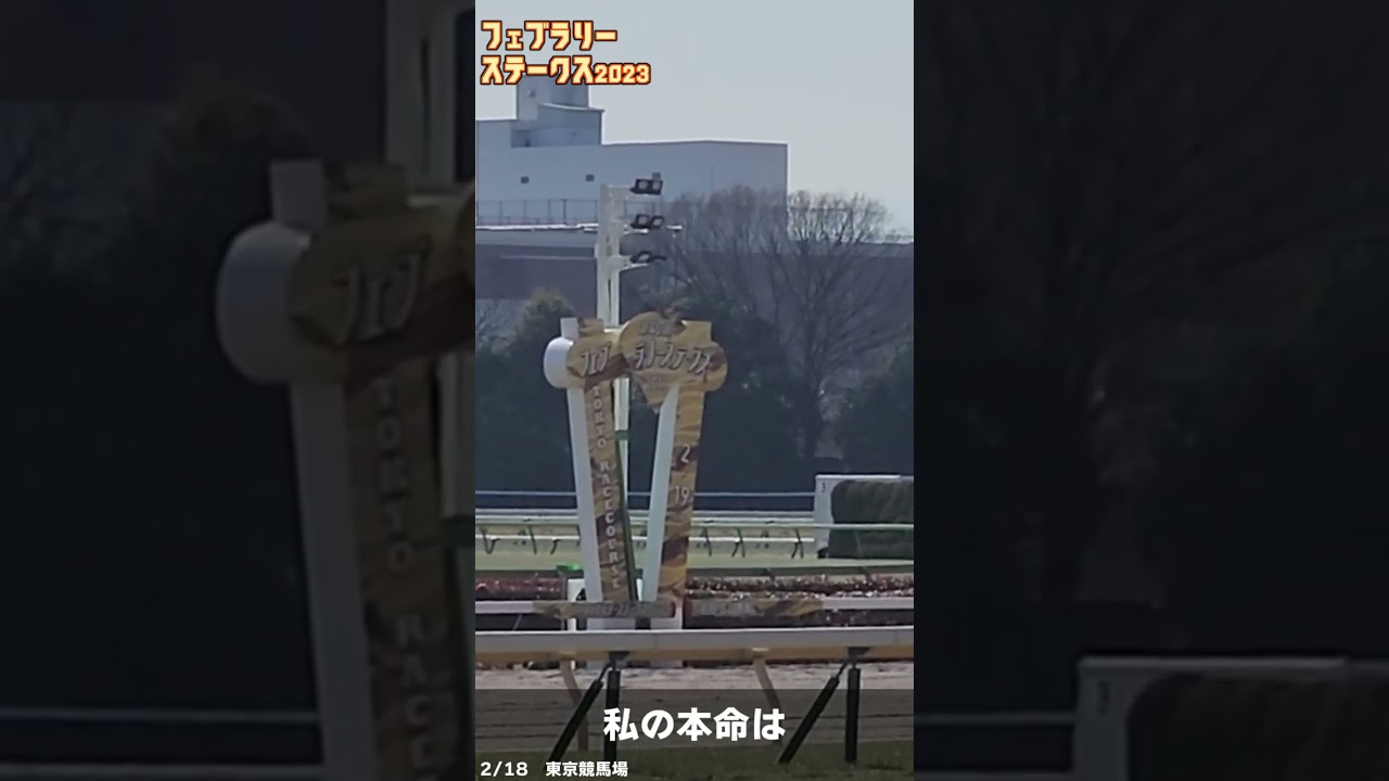 フェブラリーステークス2023 予想 #shorts