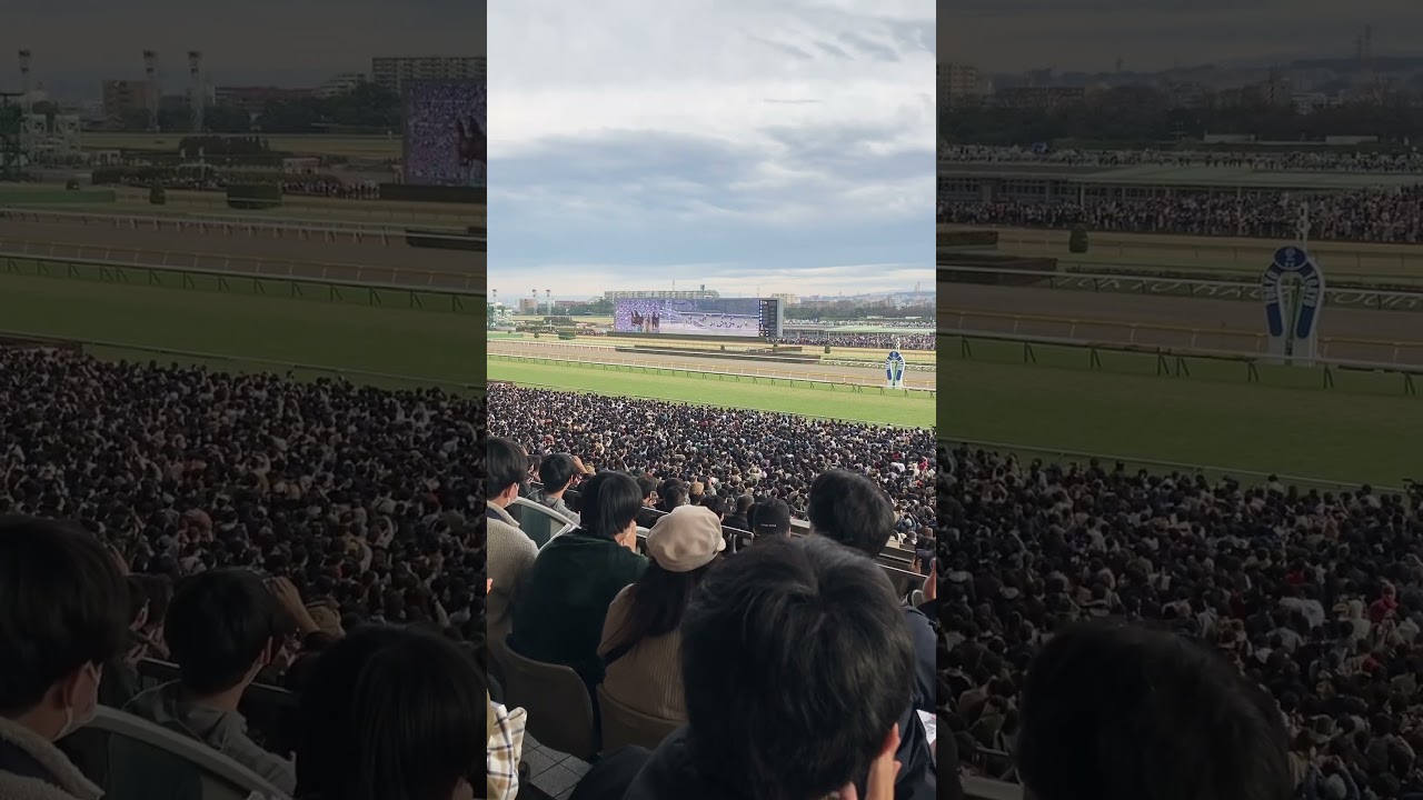 フェブラリーステークス2023 ファンファーレ レモンポップ　#shorts #競馬 #競馬場 #東京競馬場 #ファンファーレ