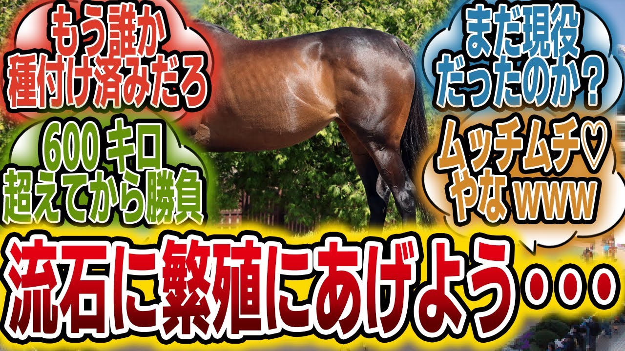 「あの名馬、ついにムッチムチになられる・・・！？」に対するみんなの反応【競馬の反応集】