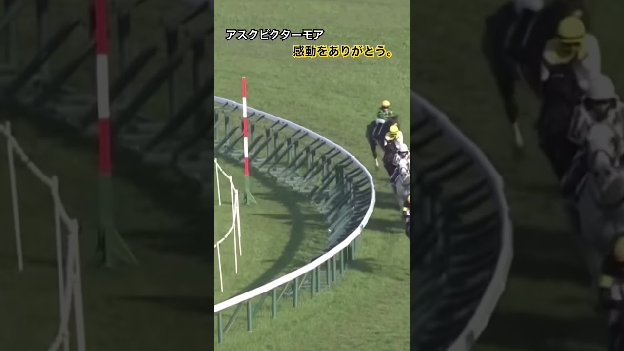 菊花賞馬　アスクビクターモア死す。 #競馬 #競馬ニュース #一口馬主 #shorts