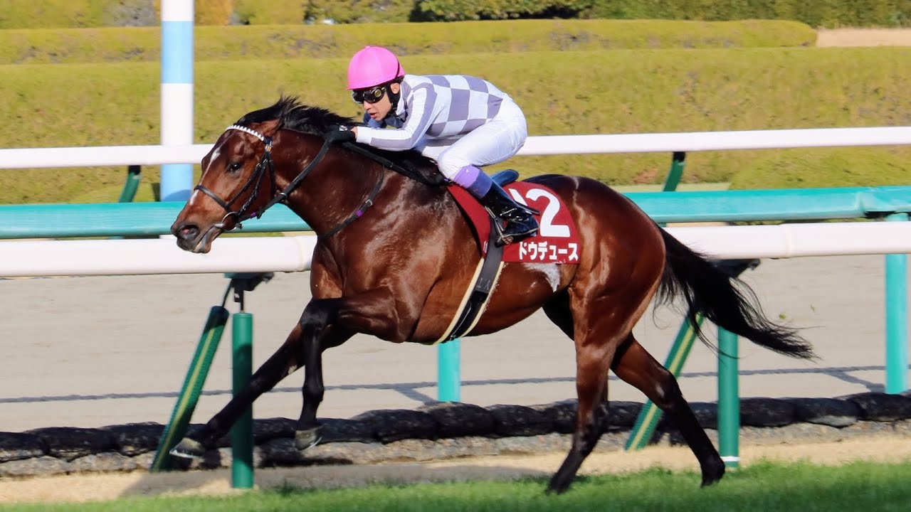 【現地映像】京都記念 ドウデュース ターフビジョン前最前列