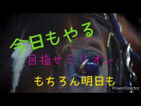 【スタポケ＋　〜１００万獲得馬を目指して】伸びた伸びた。録画時間も（汗）微妙すぎるけど、