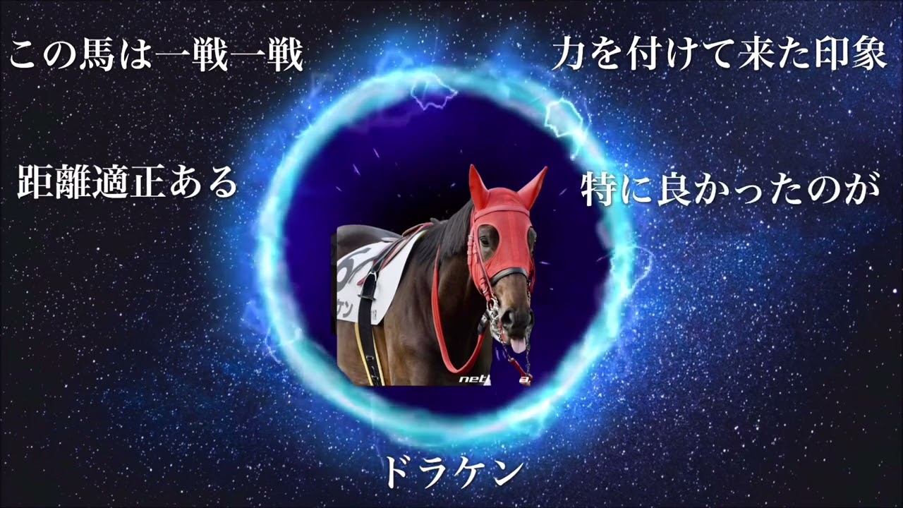 【黒潮盃】2023 直前予想〜パンダ競馬TV〜盲点の穴馬