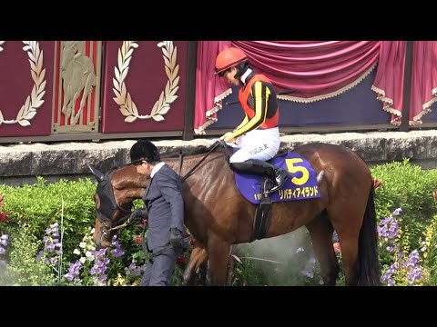 【現地】沿道のお花を食べようとする？ リバティアイランド×川田将雅騎手【2023 オークス パドック】