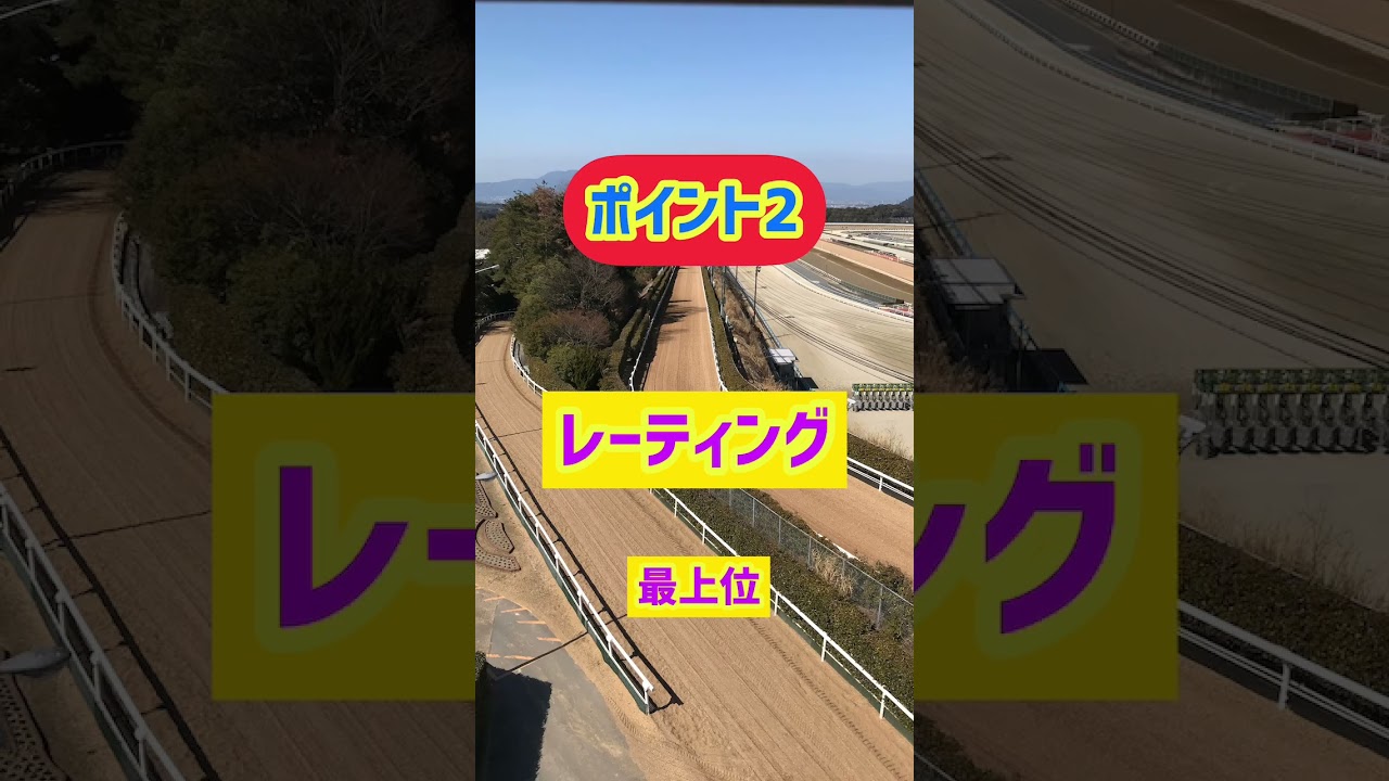 【競馬予想】#フェブラリーステークス 2023#競馬 #海外馬#後編