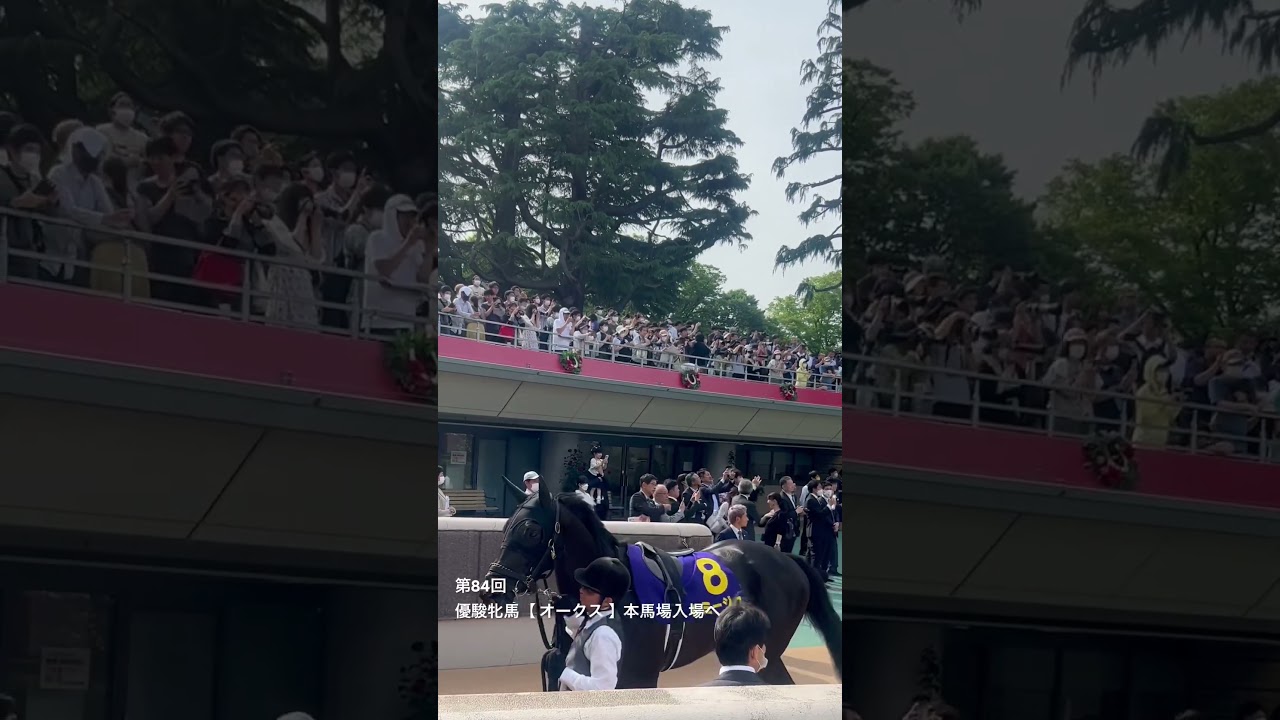 【優駿牝馬】オークスの本馬場入場へ　#shorts #オークス #競馬