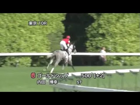 第７９回　東京優駿（日本ダービー） （ＧⅠ）　本馬場入場　2012 5 27　　出走馬：ディープブリランテ、フェノーメノ、ワールドエース、ゴールドシップ、グランデッツァ、ジャスタウェイ、スピルバーグ他