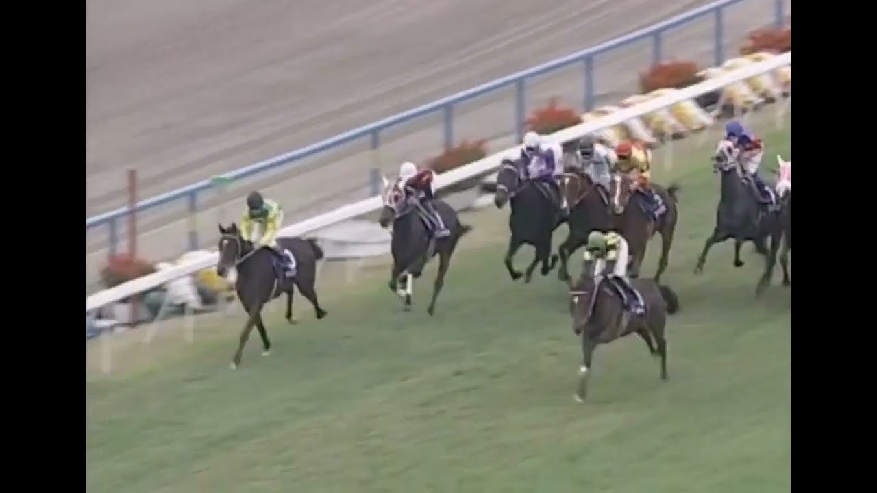 ヒシアマゾン 1994年 第19回エリザベス女王杯(GI) (優勝馬：ヒシアマゾン) (実況：ラジオたんぱ)