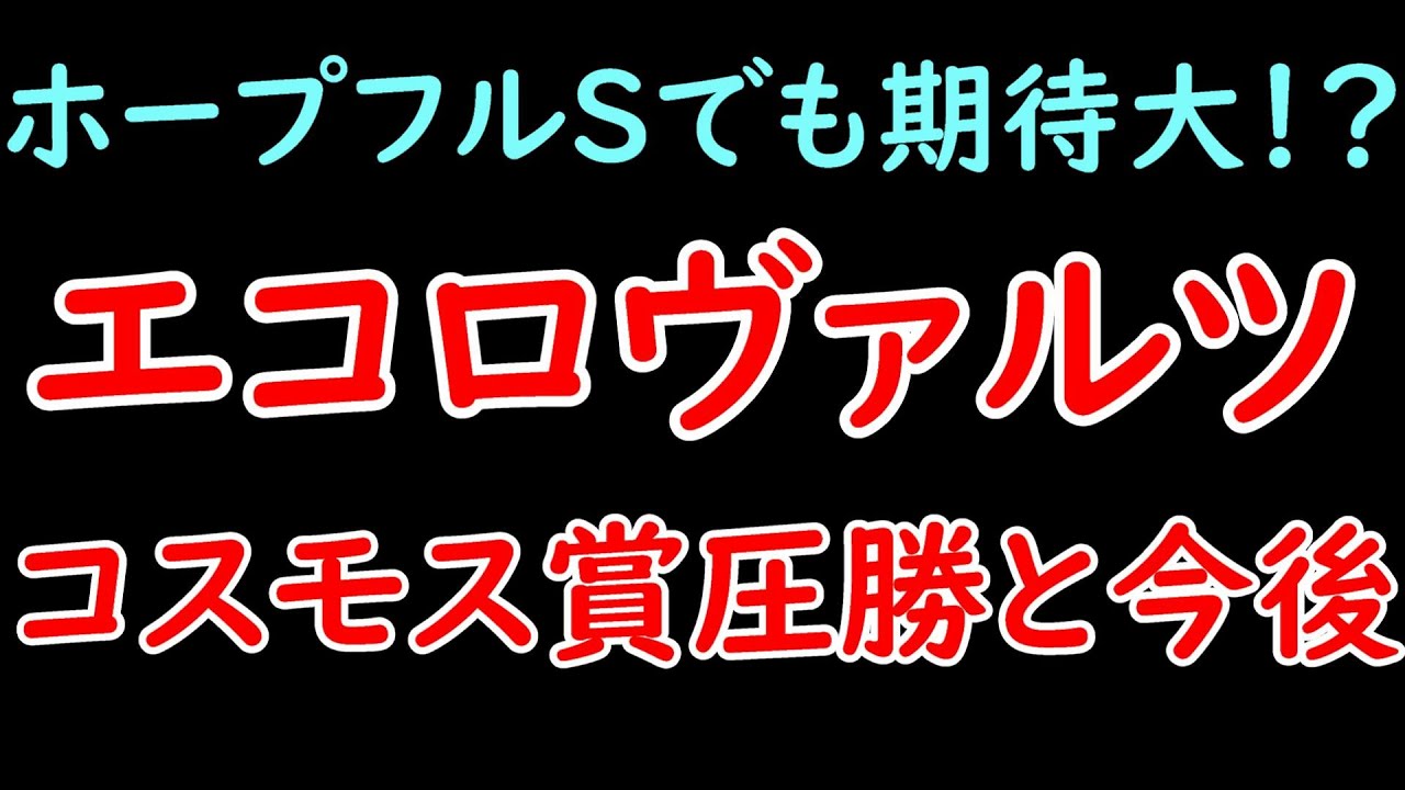エコロヴァルツのコスモス賞圧勝と今後について！ホープフルSも見据える逸材か！？【POG23-24】