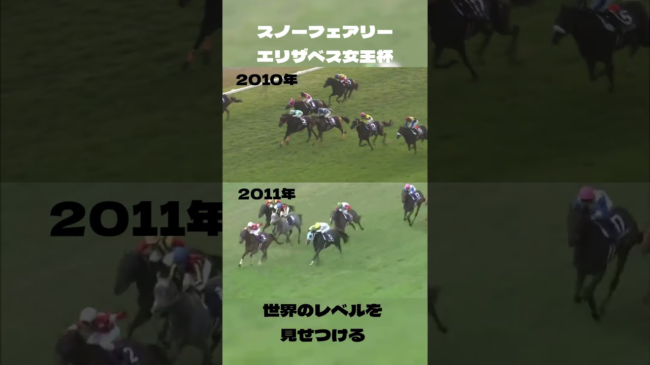 競馬好きなら知っている これが世界の実力！ スノーフェアリー エリザベス女王杯#shorts