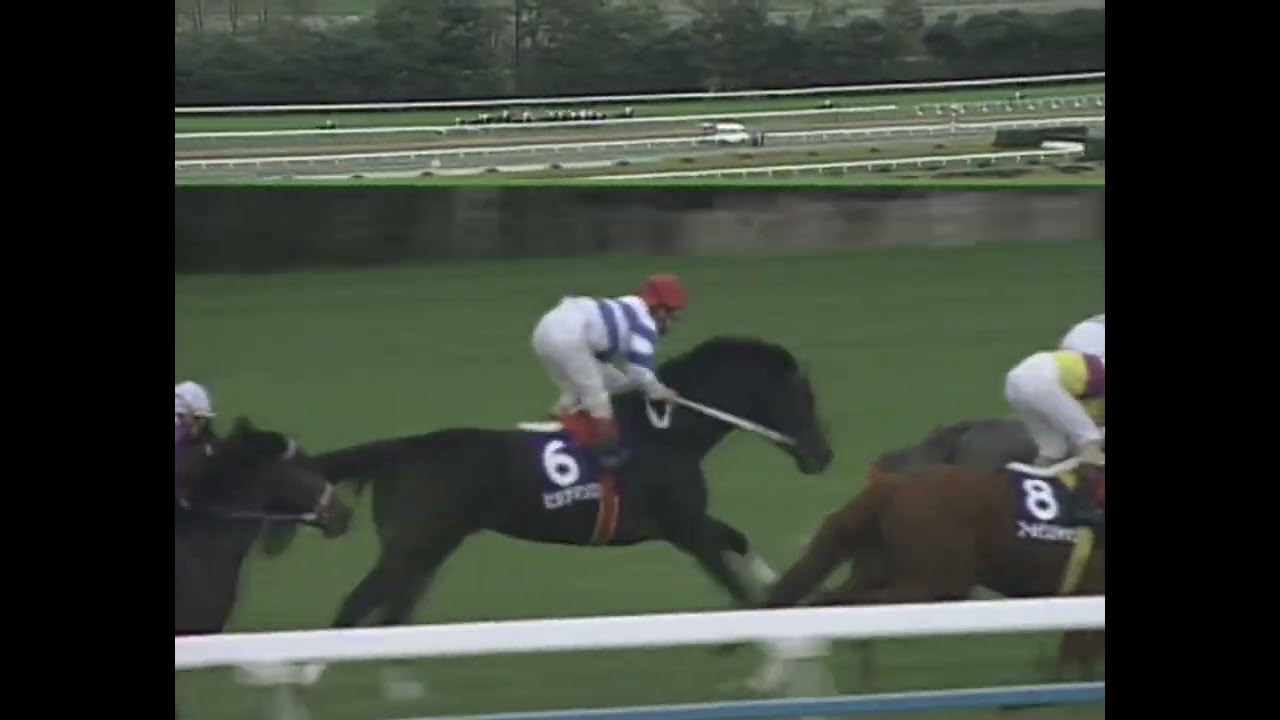 ヒシアマゾン 1994年 第19回エリザベス女王杯(GI) (優勝馬：ヒシアマゾン)